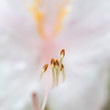 Photo: Beckoning Beckoning