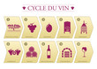 Cycle du vin