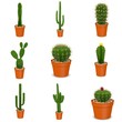 3d render of cactus flowers in pots