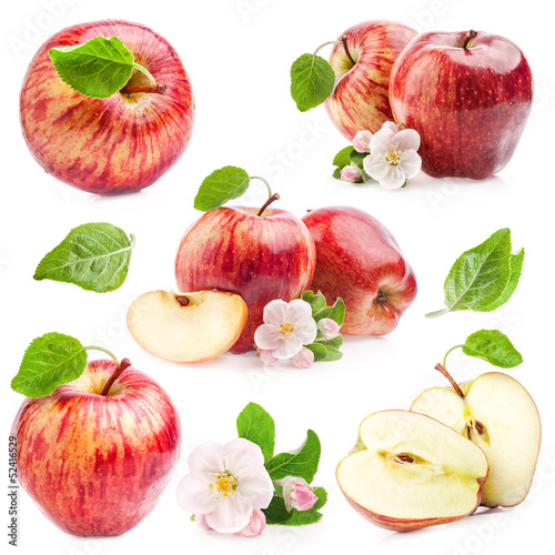 Photo: Collection of Red Apples with flowers isolated on white Collection of Red Apples with flowers isolated on white