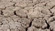 Dolly shot of cracked dry earth