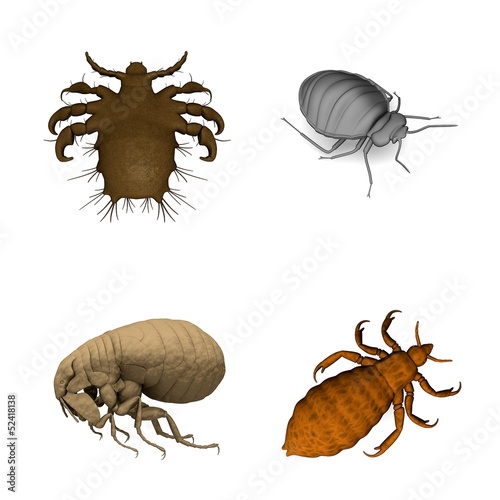 Illustration: collection of 3d renders - parasites collection of 3d renders - parasites