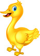 cute yellow chick cartoon