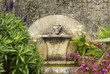 ancient old fountain with flowers around.