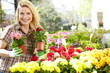 Photo: Female florist or gardener in flower shop or nursery Female florist or gardener in flower shop or nursery