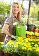 Female florist or gardener in flower shop or nursery