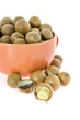close up  macadamia