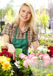 Female florist or gardener in flower shop or nursery