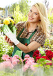 Female florist or gardener in flower shop or nursery