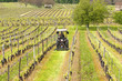 Tracteur dans la vigne