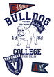 BULL DOG COLLEGE