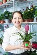 Photo: florist with Tillandsia florist with Tillandsia