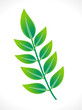 Vektor: abstract eco green leaf icon abstract eco green leaf icon