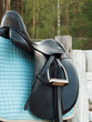 dressage saddle