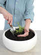 Planting
