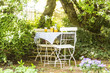 Tisch und Stühle mit Saft und Gläsern im Garten