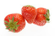 Foto: Erdbeeren Erdbeeren