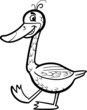 goose cartoon illustration for coloring
