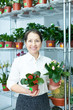 woman in flower shop with kalanchoe