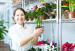 woman looks hyacinth at flower store