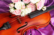 Classical violin on fabric background