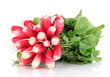 Small garden radish with leaves isolated on white