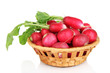 Small garden radish in wicker basket isolated on white