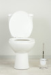 White toilet bowl in a bathroom