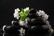Spa stones and white flowers isolated on black