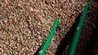 Sorting of grains