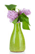 Beautiful lilac flowers in vase, isolated on white