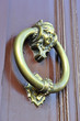 brass bronze knocker and ancient door knocker