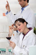 Photo: Oenologists analysing a wine Oenologists analysing a wine
