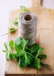 Fresh mint and kitchen twine
