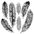 Set of ethnic feathers