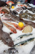 At the fish market
