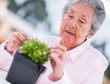 Retired woman gardening