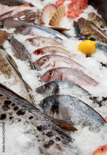 Photo: Wide selection of fish on market display Wide selection of fish on market display