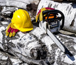 chainsaw and helmet on a background of trees felled