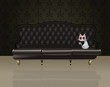 Cat in a luxury leather couch