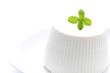 Ricotta fresca su sfondo bianco