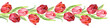 Border tulips