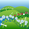 Summer time on a flower field