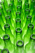 Empty Beer Bottles