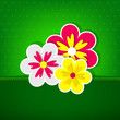Green card with three flowers.