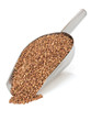 buckwheat on white