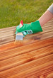 Applying protective varnish on a patio wooden floor