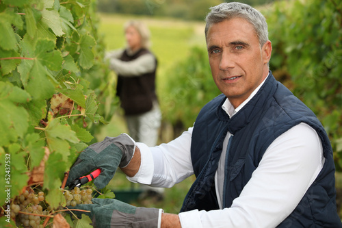 Photo: Winegrower Winegrower