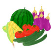 夏野菜
