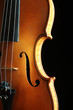 Foto: Violin orchestra musical instruments Violin orchestra musical instruments